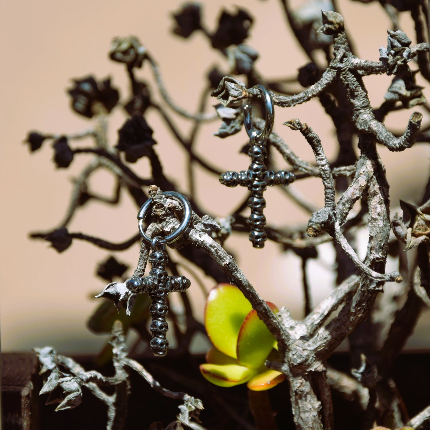 Stainless steel cross earrings made of tiny skulls, hanging on the branches of a dead tree with a succulent below.